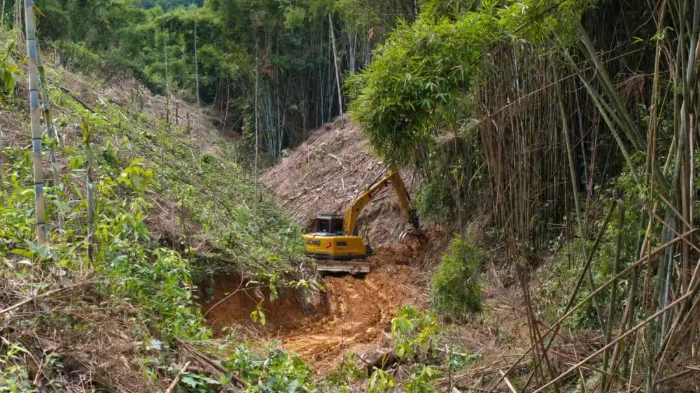 林间“藏龙”，竹海“卧虎”——js1996官网林业挖机广西侠客行